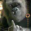 Paul Beeston412 - @paulbee41 - TikTok