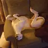 Paul Beeston - @paul.beeston7 - TikTok