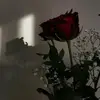 PaulBégin - @hannalgee3q - TikTok
