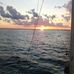 Paul Behm - Facebook