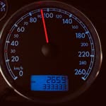 Harri - @paulbehrend16 - Instagram