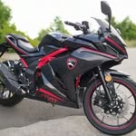 @paul.behrend - Instagram