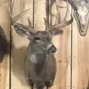 Paul Beirne732 - @paulbeirne3 - TikTok
