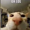 Paul beirne - @paulbeirne05 - TikTok