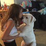 Paul Bellamy - @paul.bellamy.104418 - Instagram