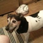 Paul Bellamy - @1978nasher - Instagram