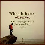 Paul Bellamy - @paulb243 - Instagram