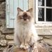 Paul Belles - Facebook