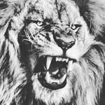 Paul Belton - @paul_belton - Instagram