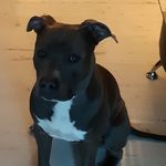 Paul Benard - @paul.benard.76 - Instagram