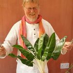 Paul Benham - @primrosehavenretreats - Instagram