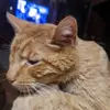 Paul Benham - @paul.benham2 - TikTok