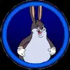 user2286035986721 - @paulbenis - TikTok