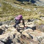 Paul Bennison - @bennison.paul - Instagram