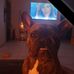 Paul Bennison - Facebook