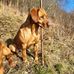 Paul Bennison - Facebook