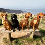 Paul Bennison - @paul.bennison.1973 - Instagram
