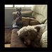 Paula Bensel - Facebook