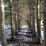 Paul Bernardi - @paul.be.355 - Instagram