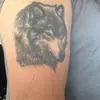 Paul-josé Bernardi - @pauljos.bernardi - TikTok
