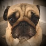 Paul Bernklau - @paulbernklau - Instagram