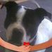 Paul Bertelsen - Facebook