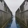 Paul Bertin - @paul.bertin - TikTok