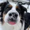 paulbertucci306 - @paulbertucci306 - TikTok