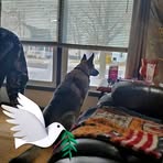 Paul Bessler - Facebook