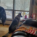 Paul Bessler - Facebook