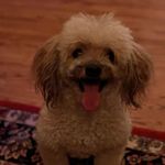 Paul Bessler - @paul_w_b - Instagram