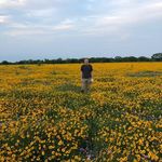 Paul Beverly - @paulbeverly6 - Instagram