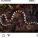 Paul Bhatti - @paulbhatti3 - Instagram