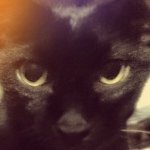 Paul - @paulbichano - Instagram