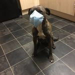 Paul Bicknell - @paul.bicknell.506 - Instagram