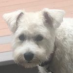 Paul Bierlein - @paulbierlein - Instagram
