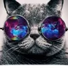 Paul Eberlein - @paul.eberlein - TikTok