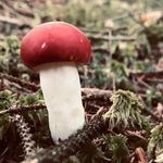 Paul Biggins - @anevadunit - Instagram