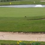 Paul Blakeley - @pbanditpaul - Instagram