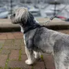 paul.blakeley1 - @paul.blakeley1 - TikTok