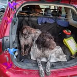 Paul Blakey - @paul.blakey.779 - Instagram