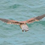 PLBlatchford - @paul.l.blatchford - Instagram