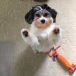 Paul Bledsoe - @paul.bledsoe.12 - Instagram