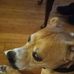 Paul Blevins - Facebook