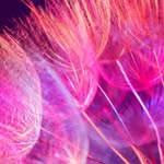 Paul Blume - @paul.blume.589 - Instagram
