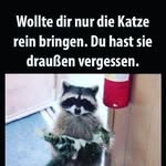 paul blume - @blumepaul - Instagram