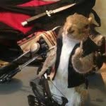 Paul Blume - @bankgoth2012 - Instagram