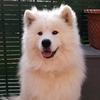 Paul Böhm - @paul.bhm - TikTok