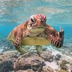 Paul Boldt - @paul_boldt1 - Instagram