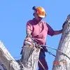 paulboles575 - @paulboles575 - TikTok